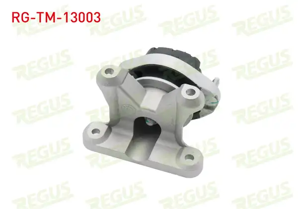 REGUS Rg Tm 13003 Şanzıman Takozu A T Audi A4 8e2 B6 1 6 2000 2004