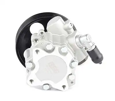 BSG 70-355-008 | Direksiyon Pompası Peugeot Expert II 1 9 2 0 04