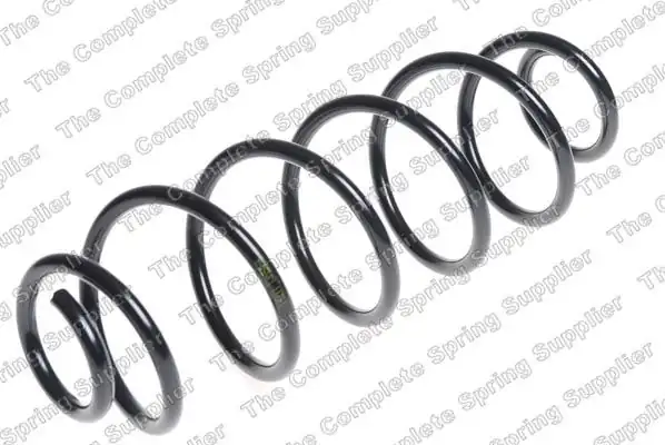 LESJÖFORS 4215631 | Helezon Yayı Arka C3 II B M 09 16