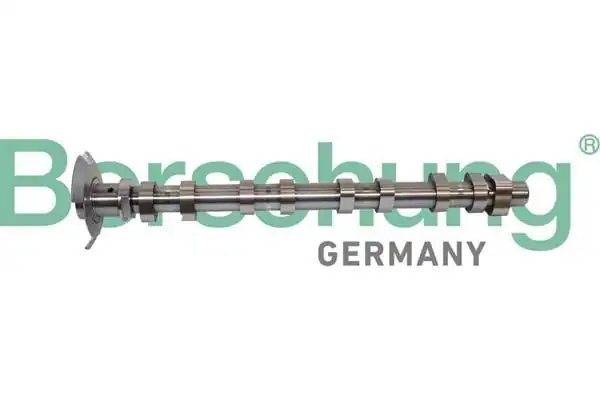 BORSEHUNG B11320 | Eksantrik Mili Emme Mercedes 274 Motor Çelik
