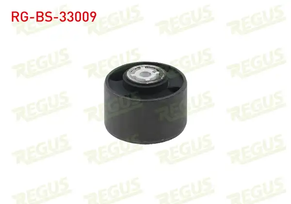 REGUS RG-BS-33009 | Şanzıman Takoz Burcu Peugeot Partner (5,5F) 1.9 D 1996-2008