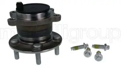CIFAM 6198184 | Porya Rulmanlı Arka Ford Connect Kuga 14