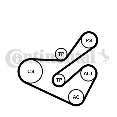 Continental Ctam 6pk1740k1 Alternatör Gergi Kiti 6pk1740 Peugeot P206 P406 Partner Expert Citroen Berlingo Jumpy Xsara 2 0 Hd İ Scudo 2 0 JTD 00 06
