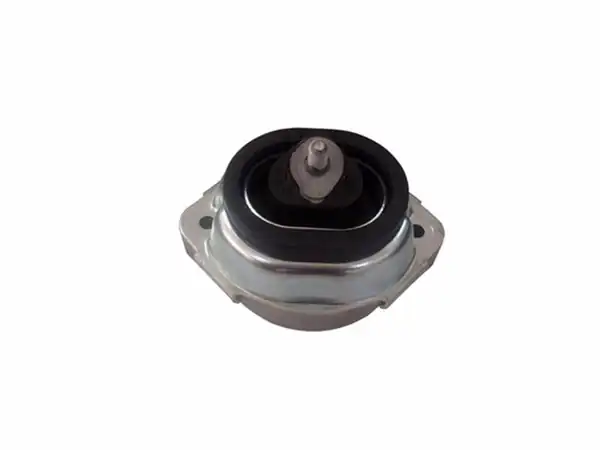 KAUTEK Bm Em029 Kau Bm Em029 Bmw X5 E53 M62 Motor Takozu 22116770793