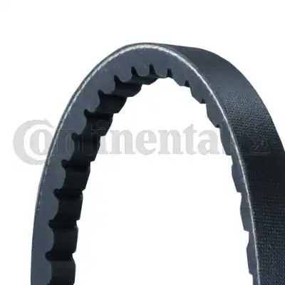 Continental Ctam 13x968 V Kayışı W906 M646 06 09 2311209