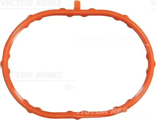 VİCTOR REİNZ 71-53796-00 | Gasket İntake Manifold