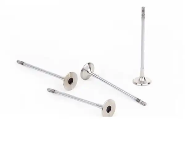 GÜNEŞ 4027-4062 | Subap Takımı Corsa C Corsa D Astra H Meriva A Z13dt Z13dtj Z13dth A13dtc A13dte 04 2047840