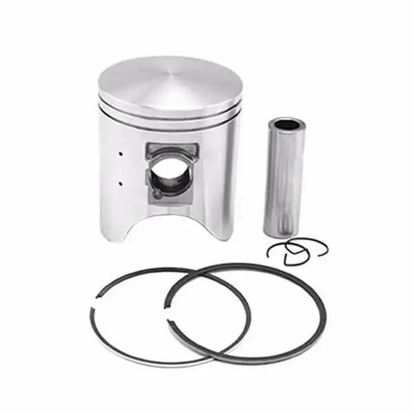MAHLE 0402590 | Piston Segman Gomlek Tk 75 00mstd 206 307 1 4 16v