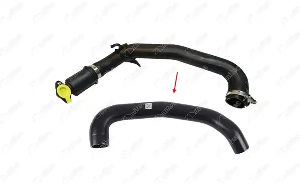NIFEA 20190 | Hortum İntercooler Ford Fiesta 13 1 0 Ecoboost