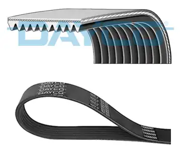 DAYCO 10PK1460HD | Kanallı V Kayışı Magnum Mack E Tech A 46 B 46c 46 Midr 06 24 65 A 46 B 46 C 46 1996 2005