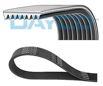DAYCO 8PK2285HD | Kanallı Kayış Scania G