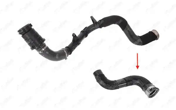 NIFEA 11616 | Turbo Hortumu Renault Megane II Scenic III Fluence 1 6 dCi