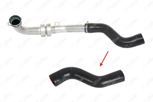 NIFEA 11773 | Turbo Borusu Hortumu Metal Boru Hariç Kangoo II 1 5 dCi 85 105 Hp Kwob