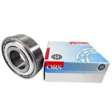ORS 6204ZZ | Rulman