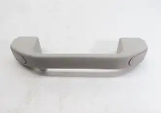 WPI PB62737 | Tavan El Tutamağı Gri Arka Albea Palio 02 11