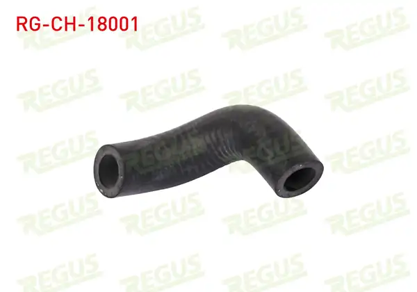 REGUS Rg Ch. 18001 Devirdaim Hortumu Fiat Doblo 119 223 1 9 JTD 2001 2010