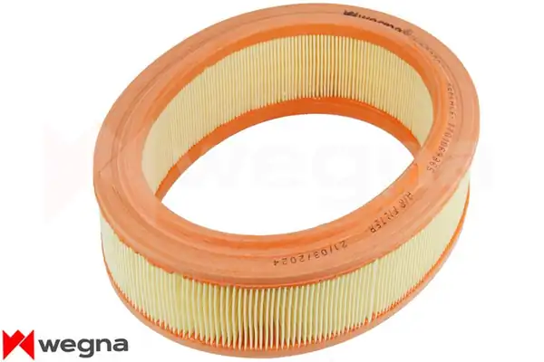 WEGNA WA2339 | Hava Filtresi Clio II