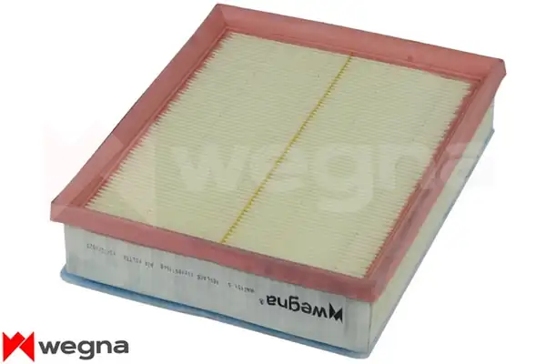 WEGNA WA2451 | S Hava Filtresi Bmw N47 B47 F20 F22 F30 F32 F33 F34 F36