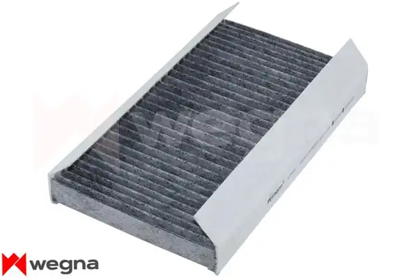 WEGNA WC3234C | Polen Filtresi Land Rover Discovery III IV L319 Range Rover Sport İ L320 Karbonlu