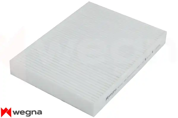 WEGNA WC3043 | Polen Filtresi Mercedes W205 S205 C205 A205 C257 W213 W166 W463