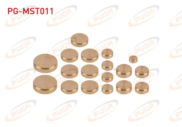 PUGA Pg Mst011 Motor Su Blok Tapası Takım Sarı Pirinc Kia Ceres