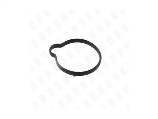 AKD 1338032 | Termostat Contası Insignia A Astra J A14net