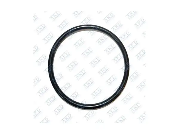 AKD 5650964 | Yağ Filitre Oring Insignia Astra J A16xer A16let 650172