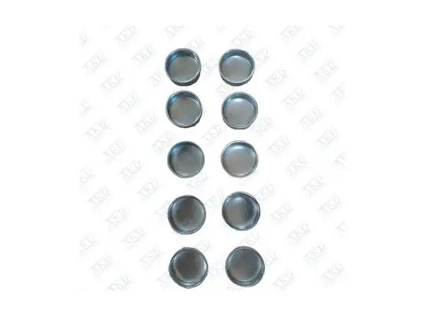 AKD OP200210 | Motor Blok Su Tapası 12mm 10 Adet