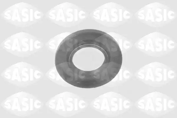 SASIC 1954004 | Aks Keçe Sağ Megane Clio