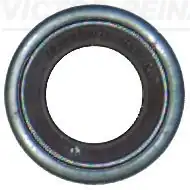 VİCTOR REİNZ 70-23982-00 | 100 Subap Lastiği Ford Cargo 1842 3542 4142 Euro 6 100 Adet