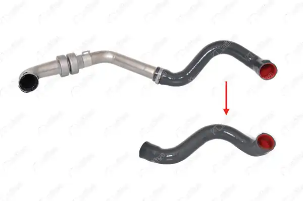 NIFEA 11583 | Turbo Hortumu Metal Boru Hariç Megane II Scenic II 1 5 dCi K9k