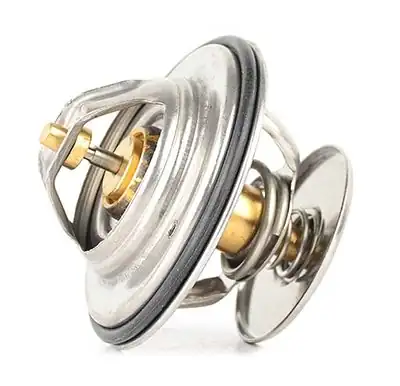 BSG 60-125-014 | Termostat 124 201 463 123 Korando Musso Rexton Bm 75