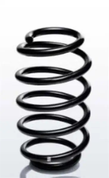 FROW HELEZON 2061233001 | Helezon Yayı Ön Renault Clio II 15 dCi 98 06 2 Adet