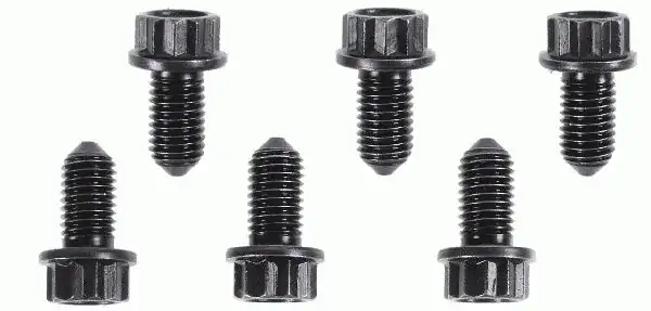 SACHS 1874-000-002 | Volan Civatası 2481435