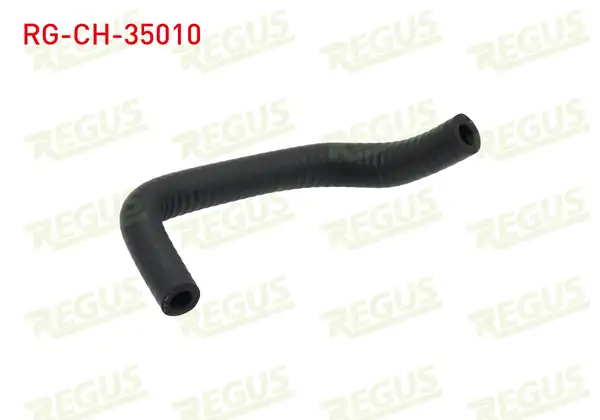 REGUS Rg Ch. 35010 Su Hortumu Renault R12 1 4 1971 2000 5 Adet