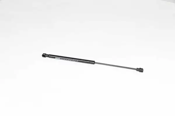BSG 15-980-058 | Motor Kaput Amortisörü Land Rover Range Rover Discovery III IV Sport Bm 07 04