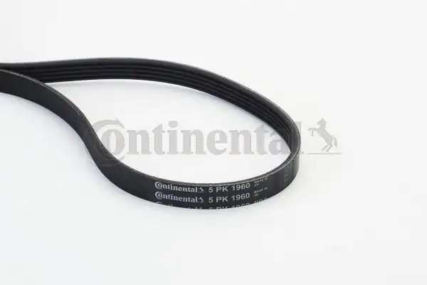 Continental Ctam 5pk1960 V Kayışı Mercedes Om654 Om656 W447 W205 W213 W177 W247 16