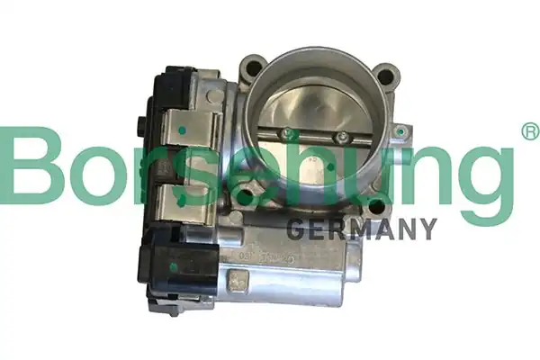 BORSEHUNG B19290 | Gaz Kelebeği Komple 1 2 1 4 TSI CBZB Cpta CZCA Czcd Cyvd Czda CJZC D Cvna