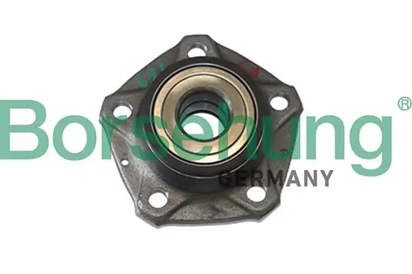 BORSEHUNG B11286 | Porya Arka Rulmanlı A4 A5 A6 2008 Fag713610890