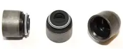 ELRING 020.020 | Subap Lastiği Renault-Nissan-Dacia Clio IV/Megane III-IV/Logan/Sandero/Duster 0.9-1.6 TCe | 16 Adet