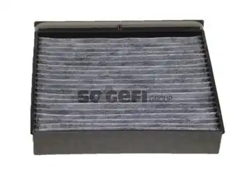 PURFLUX AHC234 | Aktif Karbonlu Polen Filtresi Scenic II Grand Scenic II 1 5 dCi 1 9dci 03 04