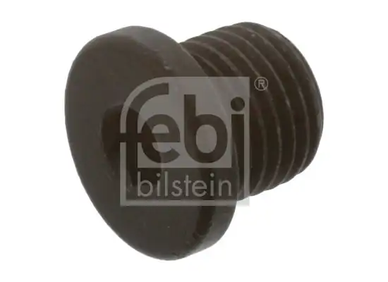 Febi Bilstein 48874 Karter Tapası VW Audi Seat Skoda Porsche Yağ Tapası N0160276