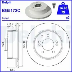 DELPHI BG5172C | Fren Diski (Çiftli Paket)-Boyalı, Delikli