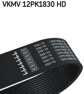 SKF VKMV12PK1830HD | Kanallı Kayış Iveco Eurotrakker Trakker İ 821815