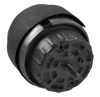 CORTECO 80004291 | Sağ Motor Takozu Audi