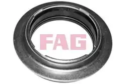 FAG 713007920 | Amortisör Rulmanı T.Porter.T5