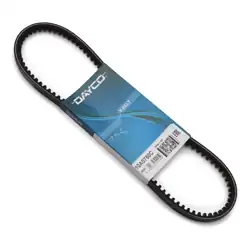 DAYCO 10A0750C | V Kayısı10×750