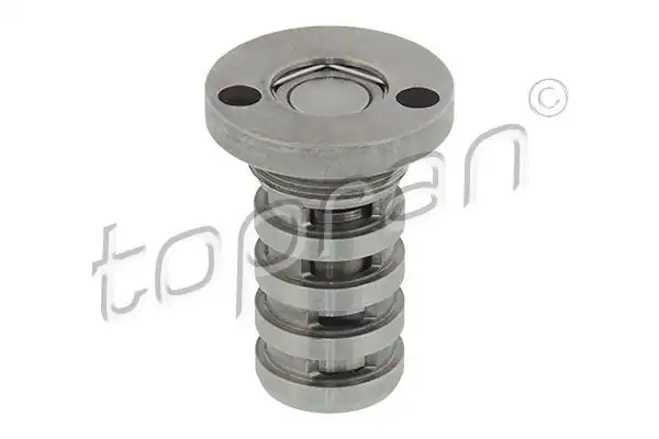 TOPRAN 113724 | Eksantrik Mili Kumanda Valfi VW Golf 09 14 Passat 09 15 Audi A3 09 13 A4 08 16 A5 08 17