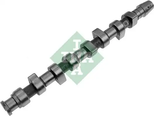İna 428006210 Eksantrik Mili VW Golf IV Bora Skoda Octavia Audi A3 1 9 TDI AGR