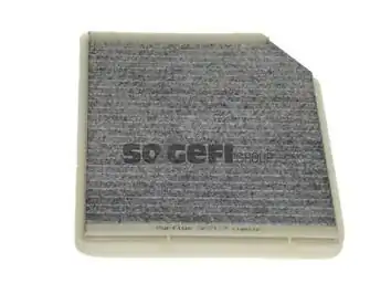 PURFLUX AHC117 | Aktif Karbonlu Polen Filtresi Laguna İ 95 01